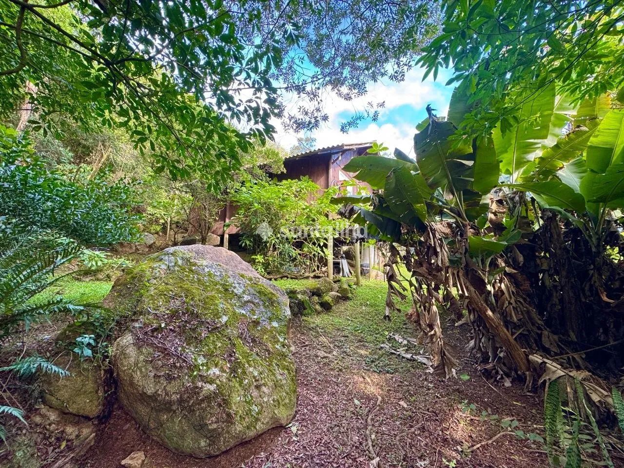Terreno à venda, 400m² - Ribeirão da Ilha - Florianópolis/SC - Foto 5