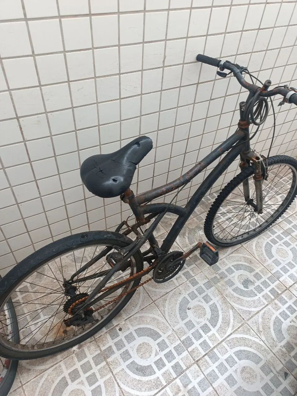 Bicicleta de marcha 