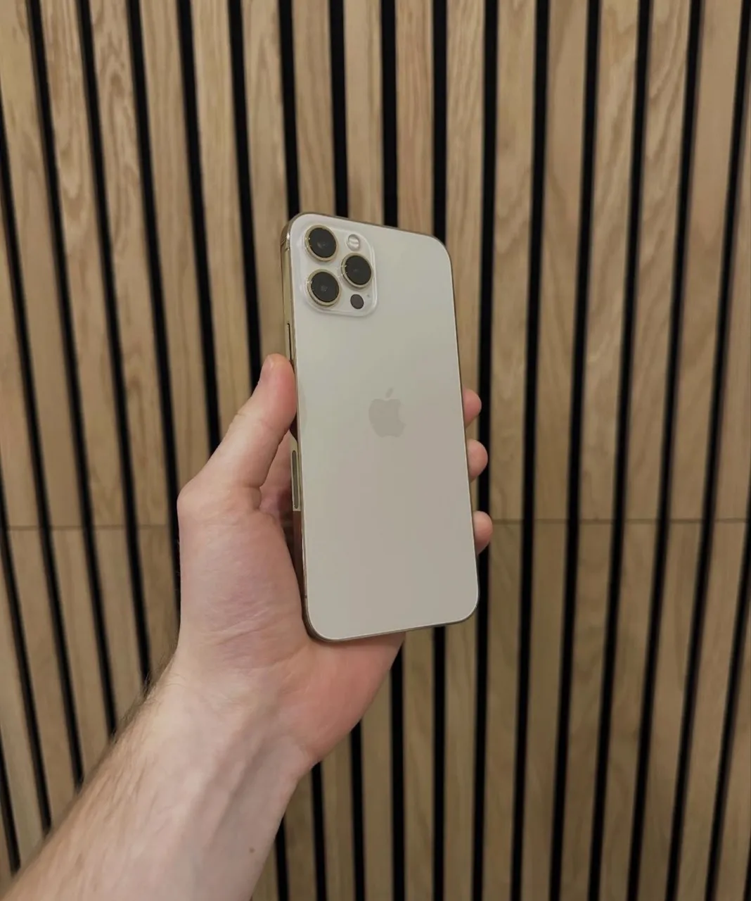 iPhone 12 Pro Max 512gb - Celulares e Smartphones - Parque Nova