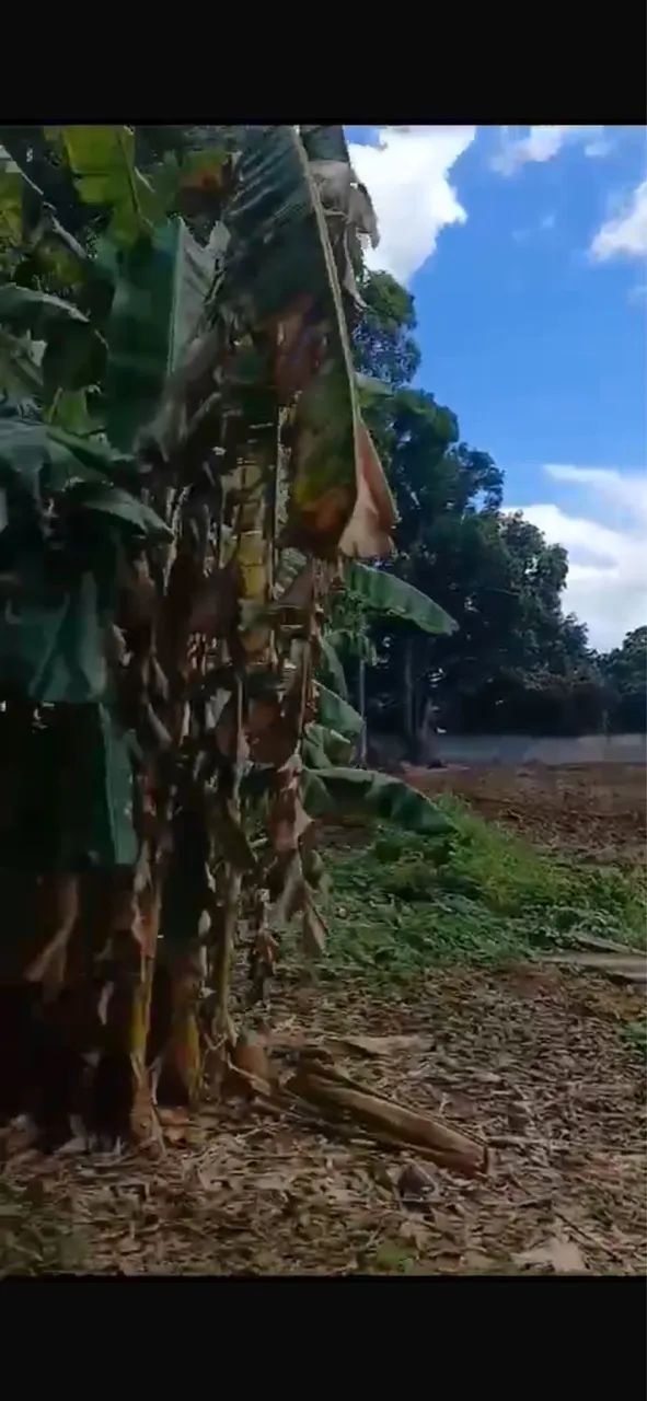 Vendo terreno em Taboquinha Goiás  - Foto 2