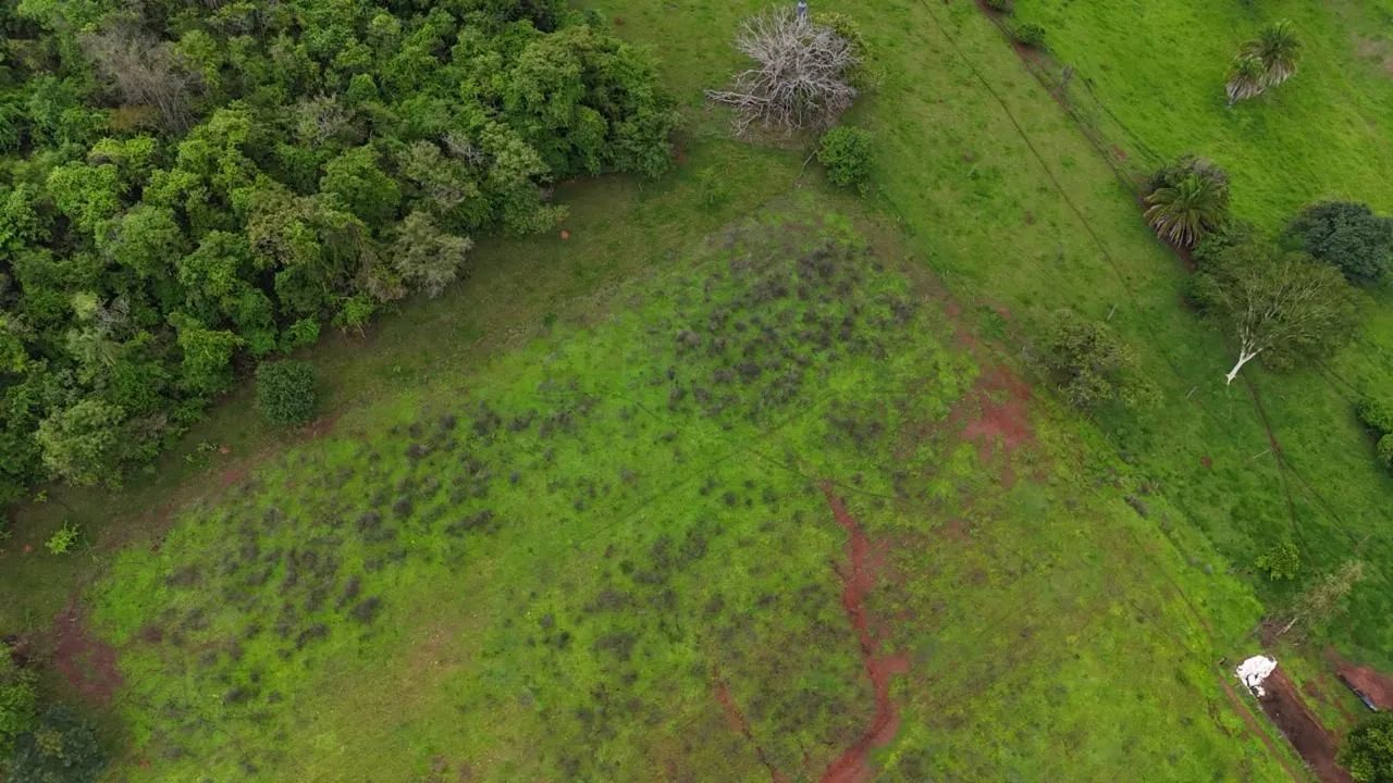 Chácara NOVA Veneza com água escriturada - Foto 3
