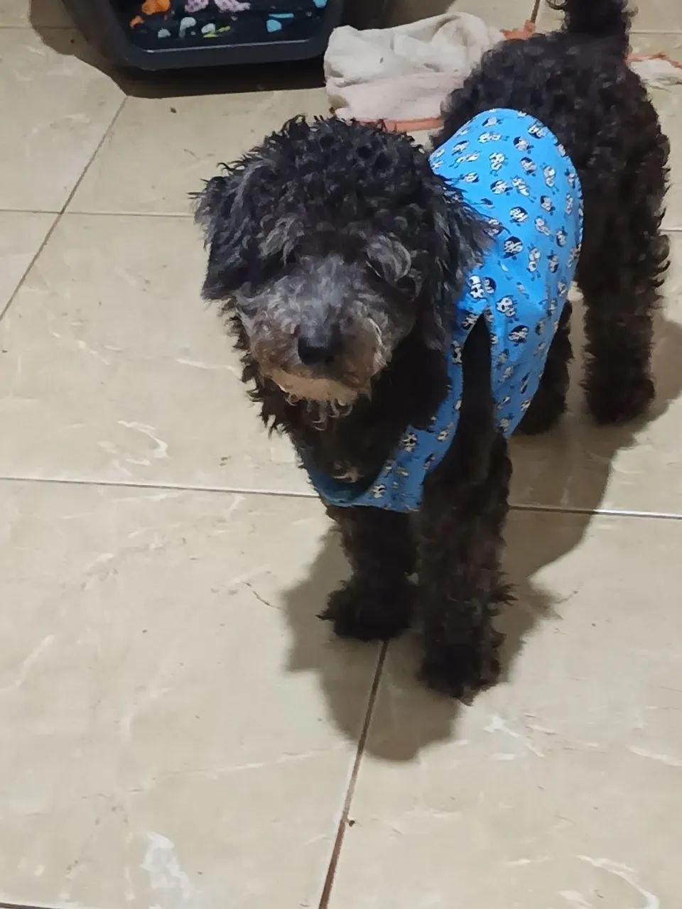 Doação 