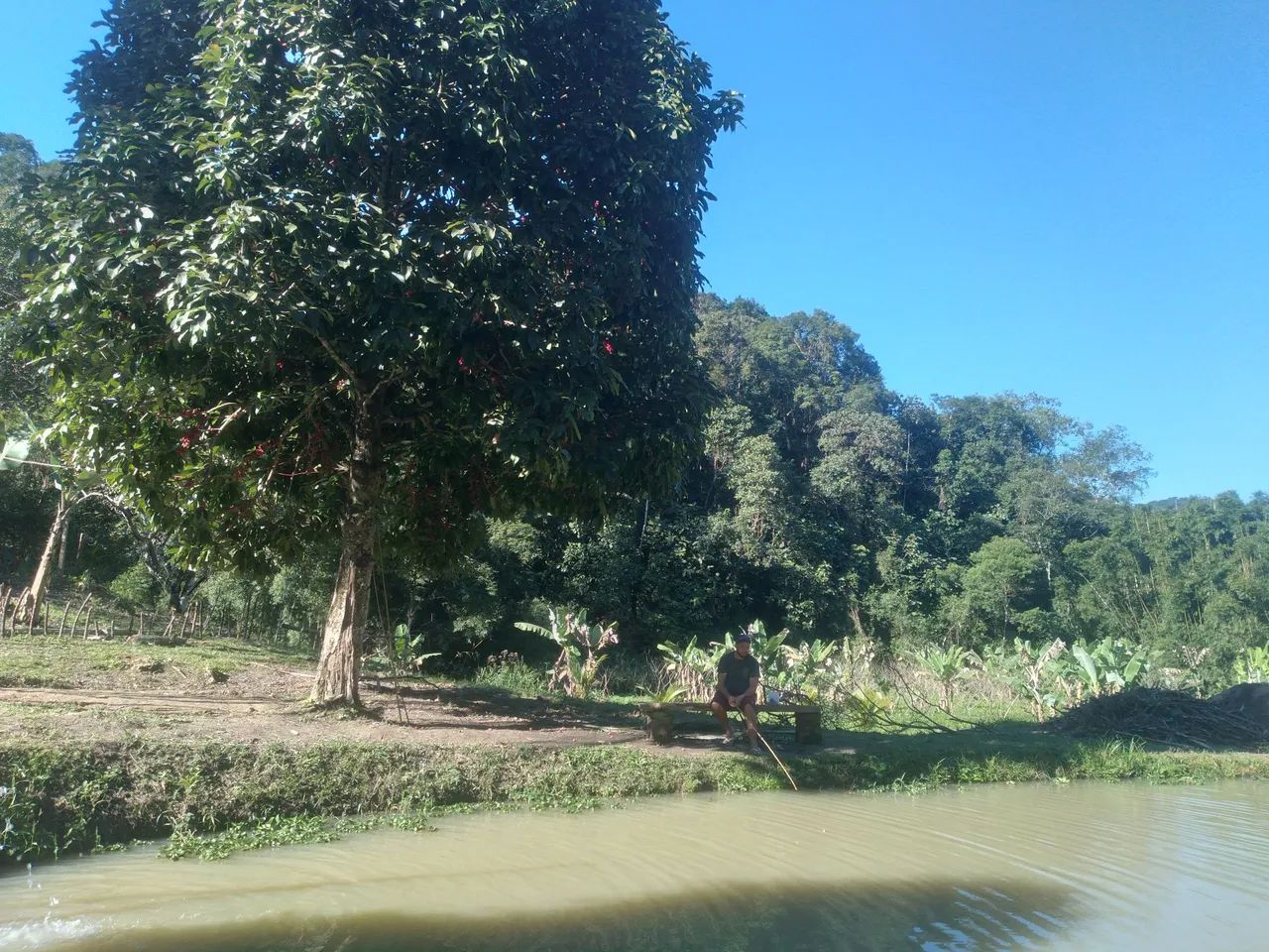Vende-se lindo sitio(sitio parana) - Foto 3