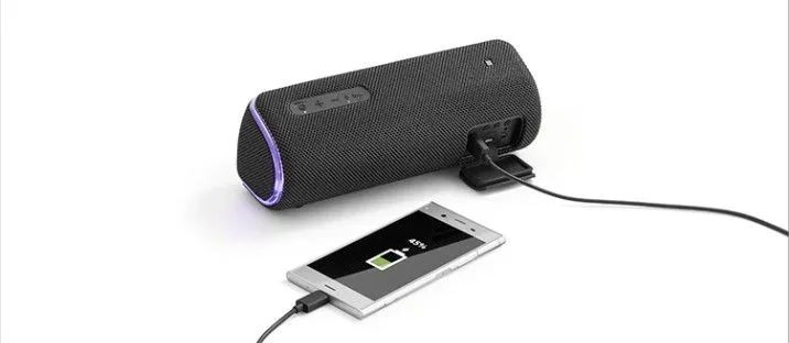 Caixa de som Sony SRSXB31  - Foto 3