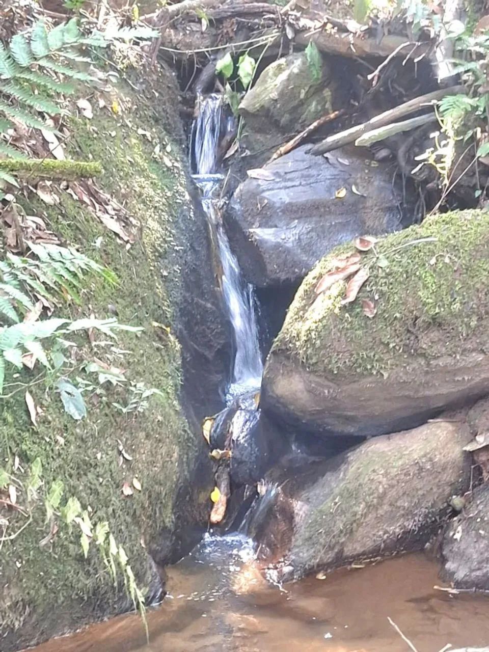 Chacara em Quitandinha 24.000m2 - Foto 3