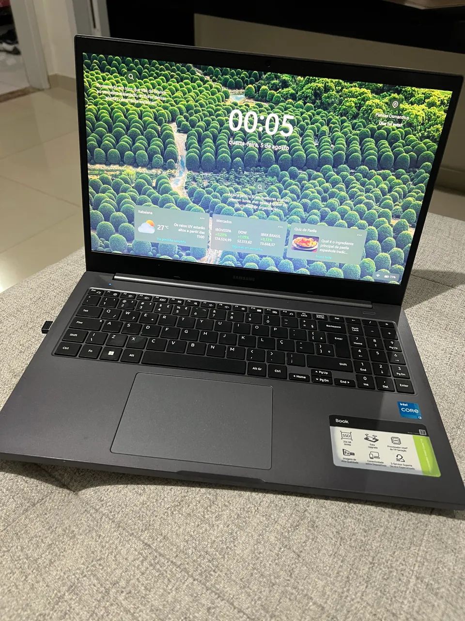 Notebook Samsung 