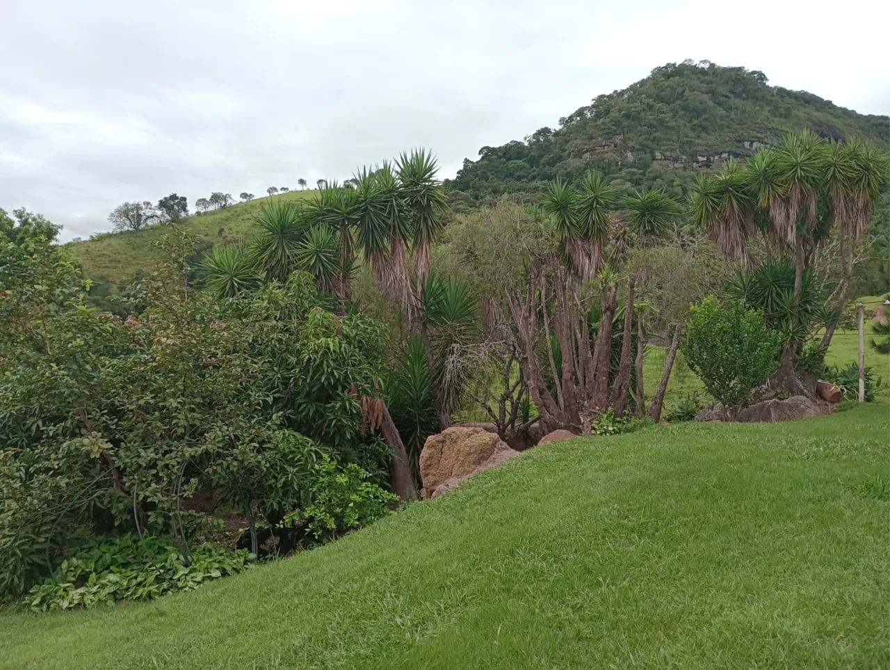 Sítio no sul de minas  - Foto 4