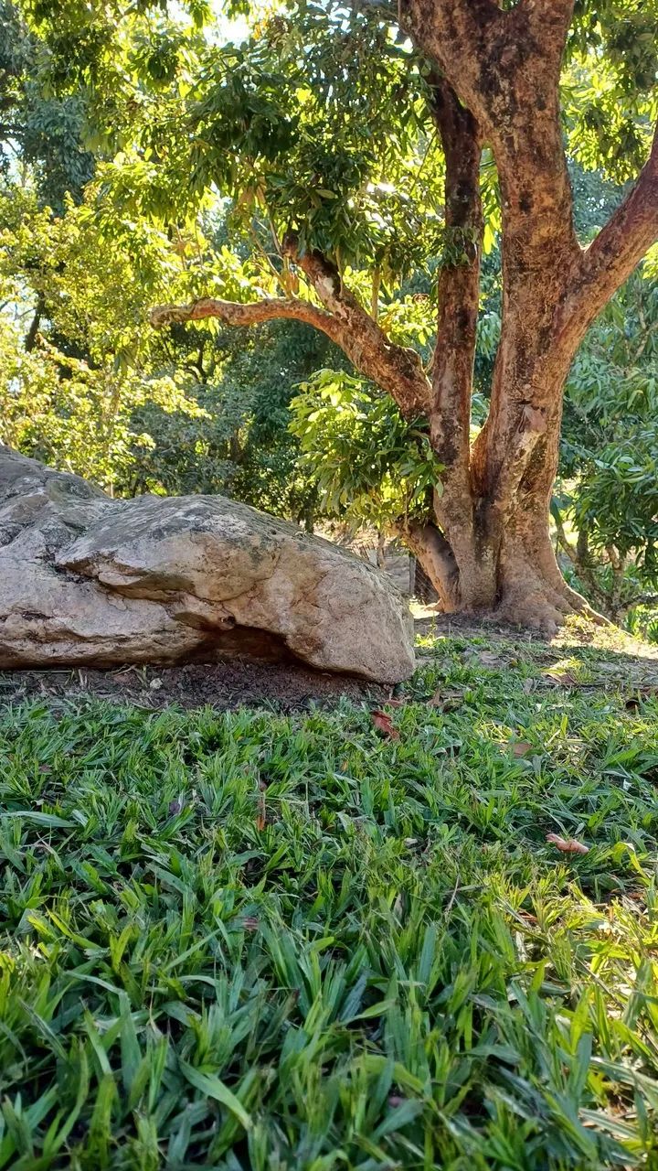 Foto - São José dos Campos - Cidade Vista Verde