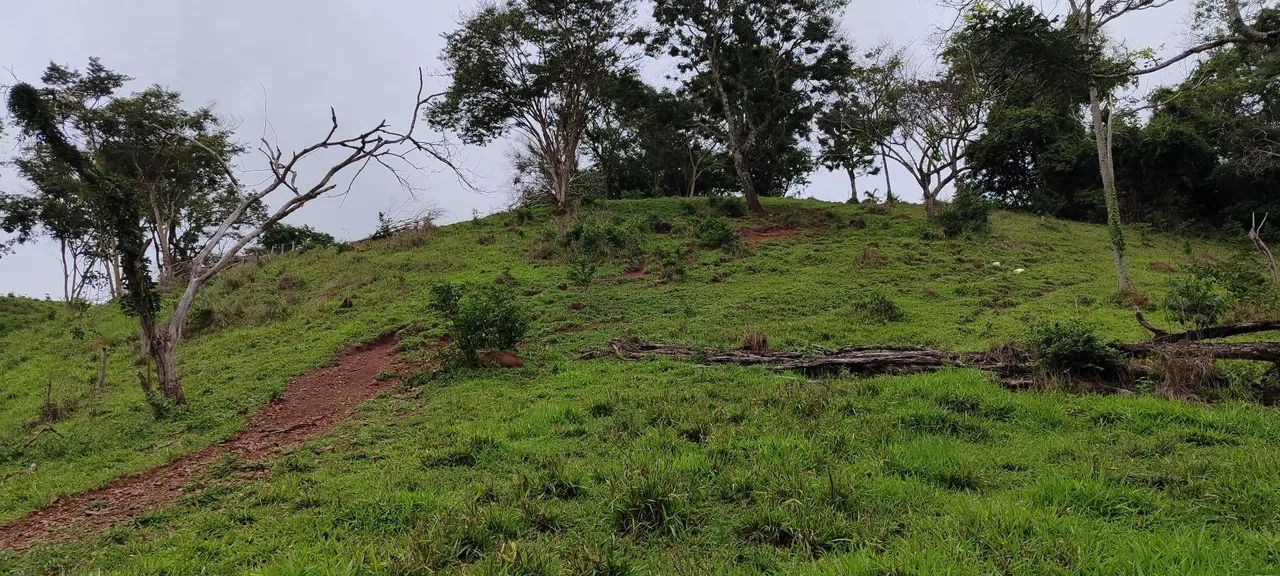 Chácara em Bela vista  - Foto 5