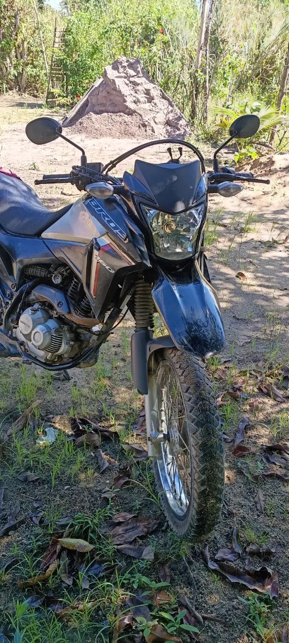 Pronta pra transferir  - Foto 4