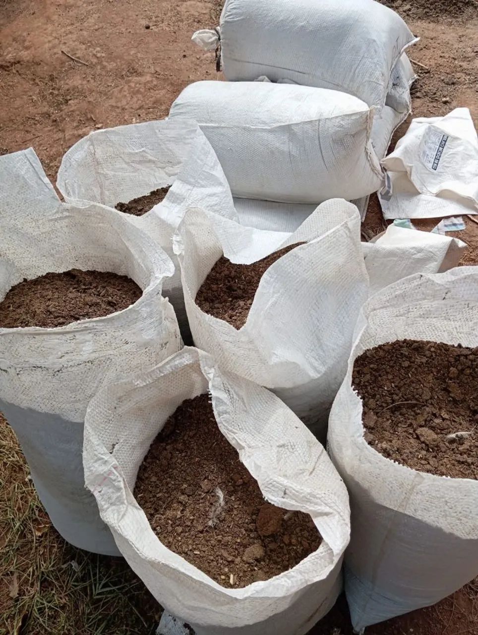 Ainda temos esterco de gado esterco de galinha Terra preta - Foto 4