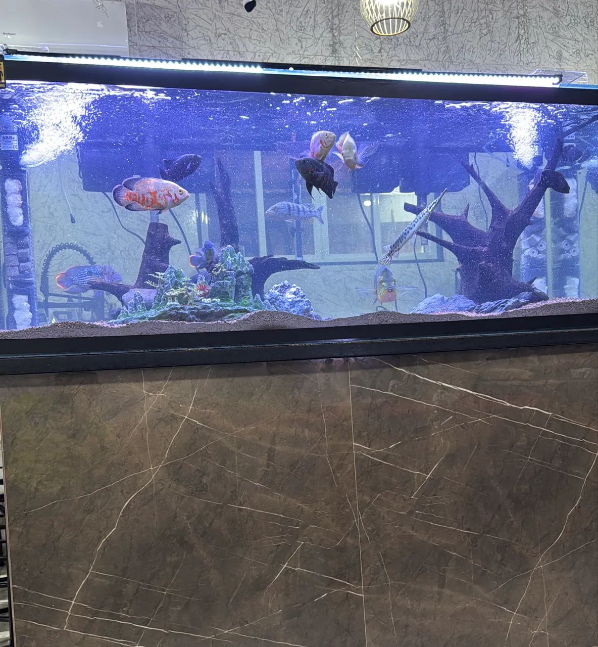 Aquário jumbo de 478 Litros (150cm), novíssimo. - Foto 2