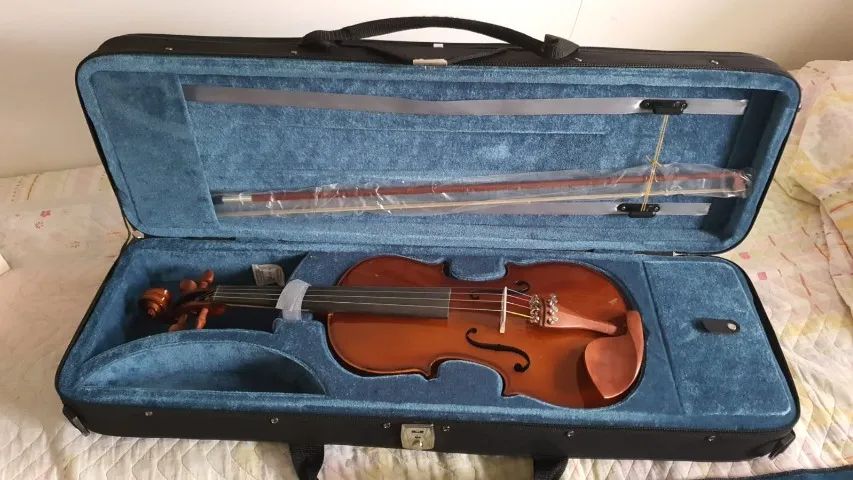Violino Eagle _4/4 ve441