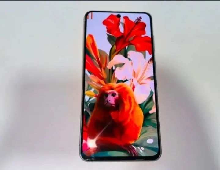 S21 fé 5G