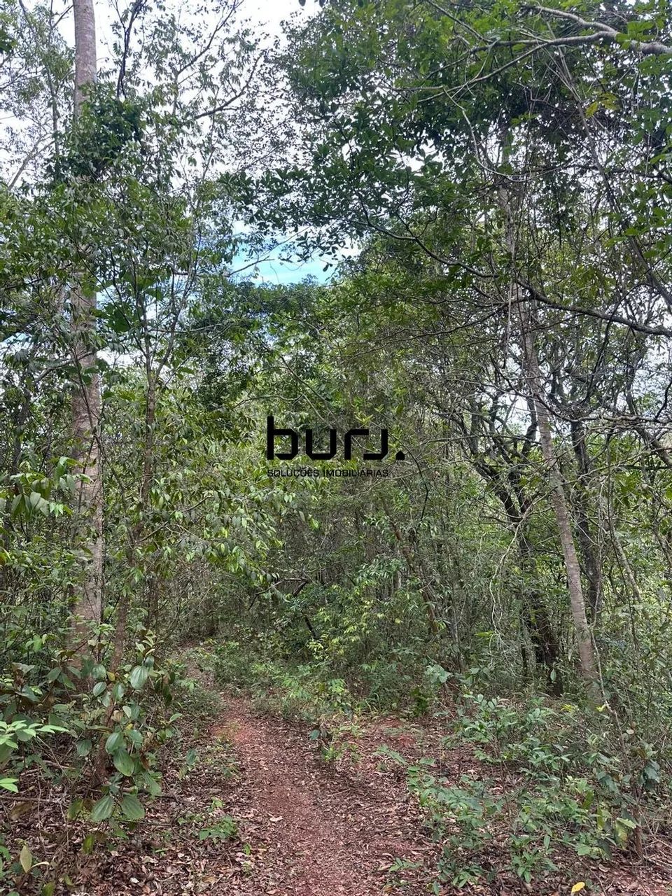 Terreno à venda em Caldazinha, Setor Central, com 2000 m² - Foto 5