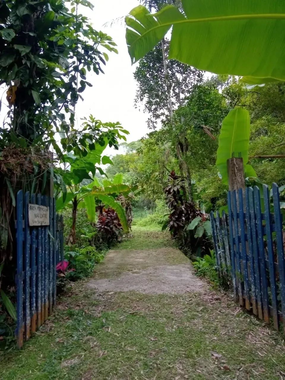 Lindo Sítio em Peruíbe com 5 Alquires! - Foto 4