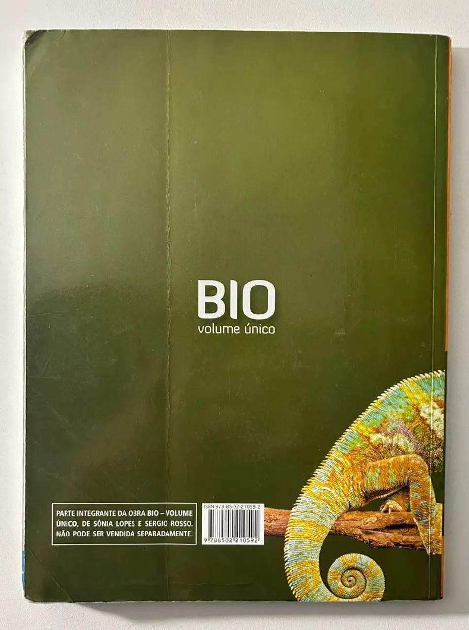 BIO - Sônia Lopes e Sergio Rosso - Foto 4