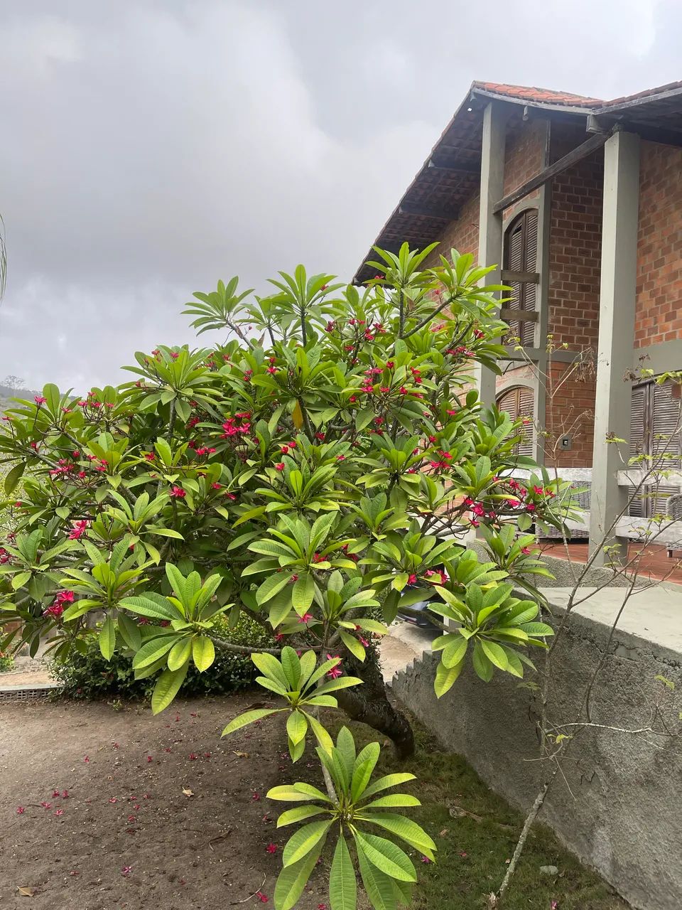 Casa aconchegante  - Foto 6