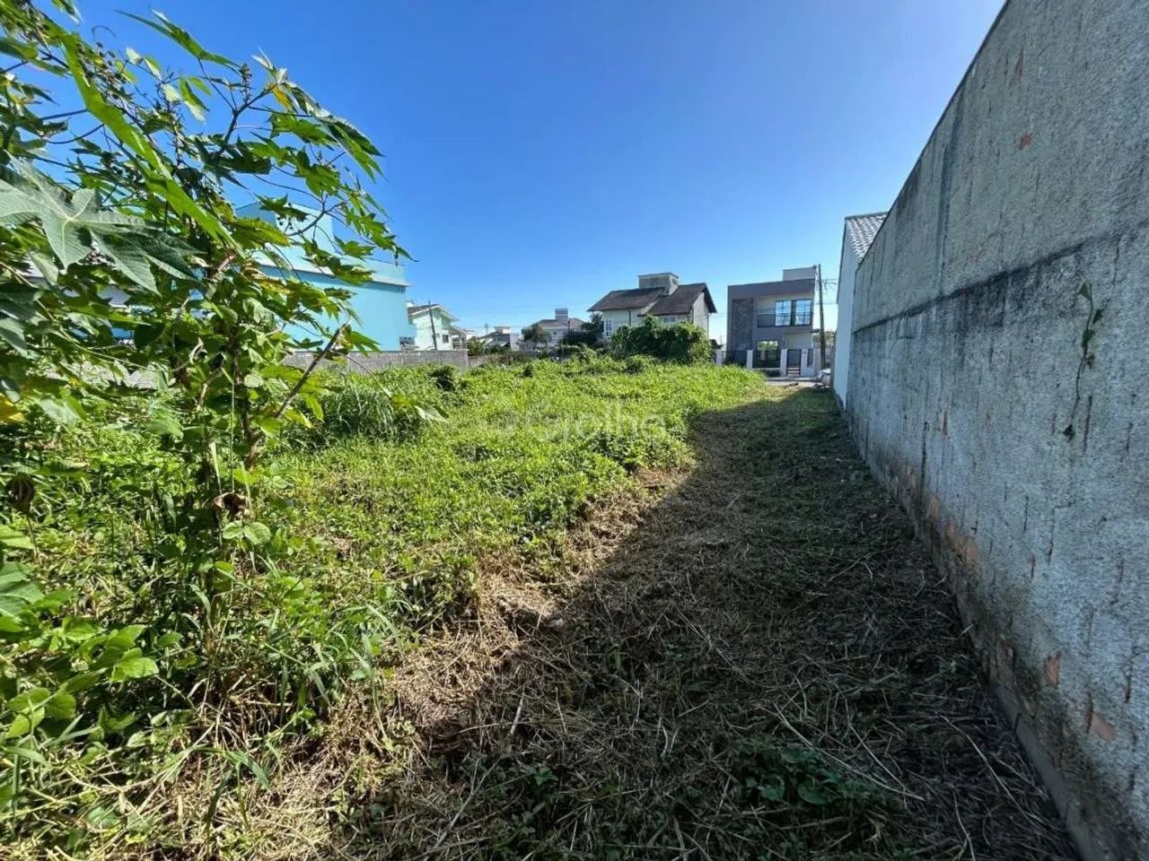 Terreno para Venda em Florianópolis, Carianos - Foto 4