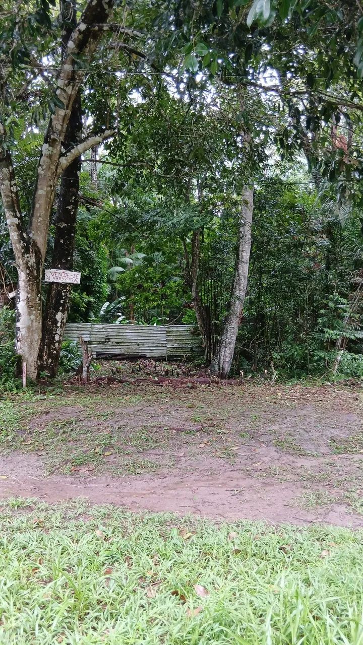 Lote em mosqueiro  - Foto 5