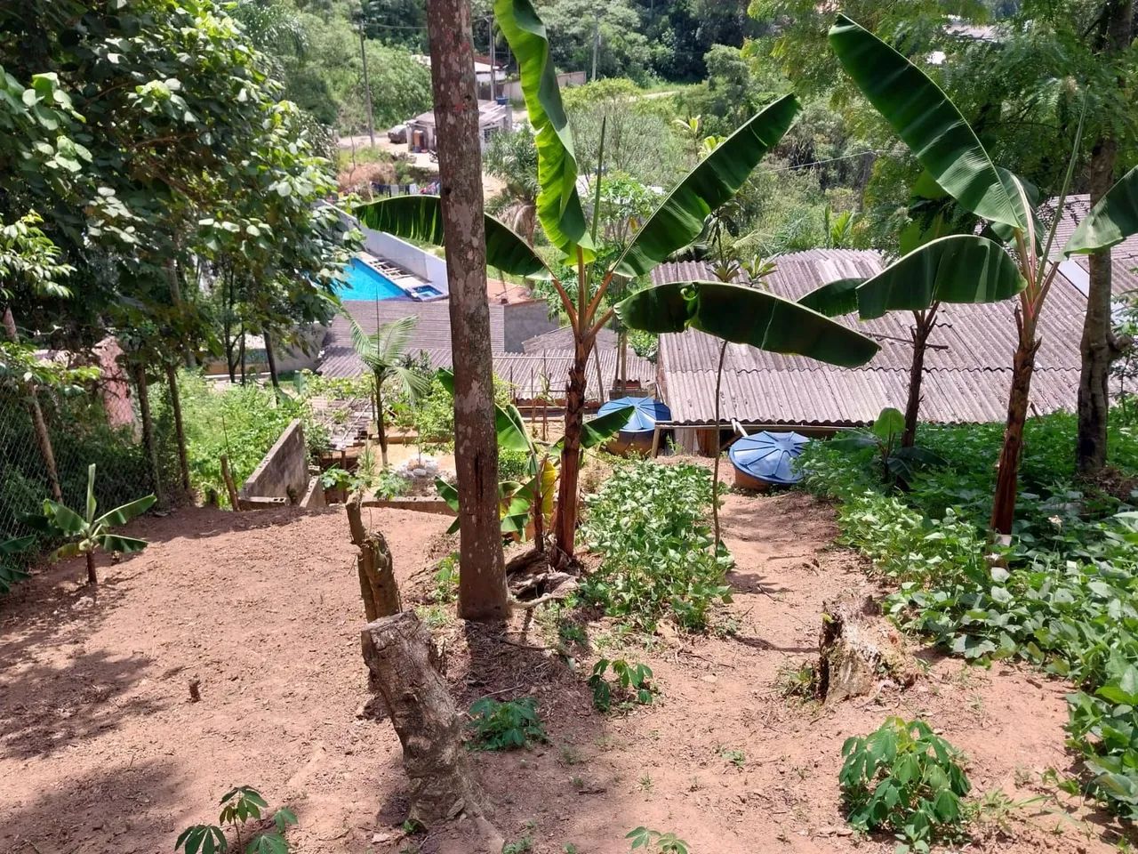 Foto - Embu-Guaçu - Parque Itararé