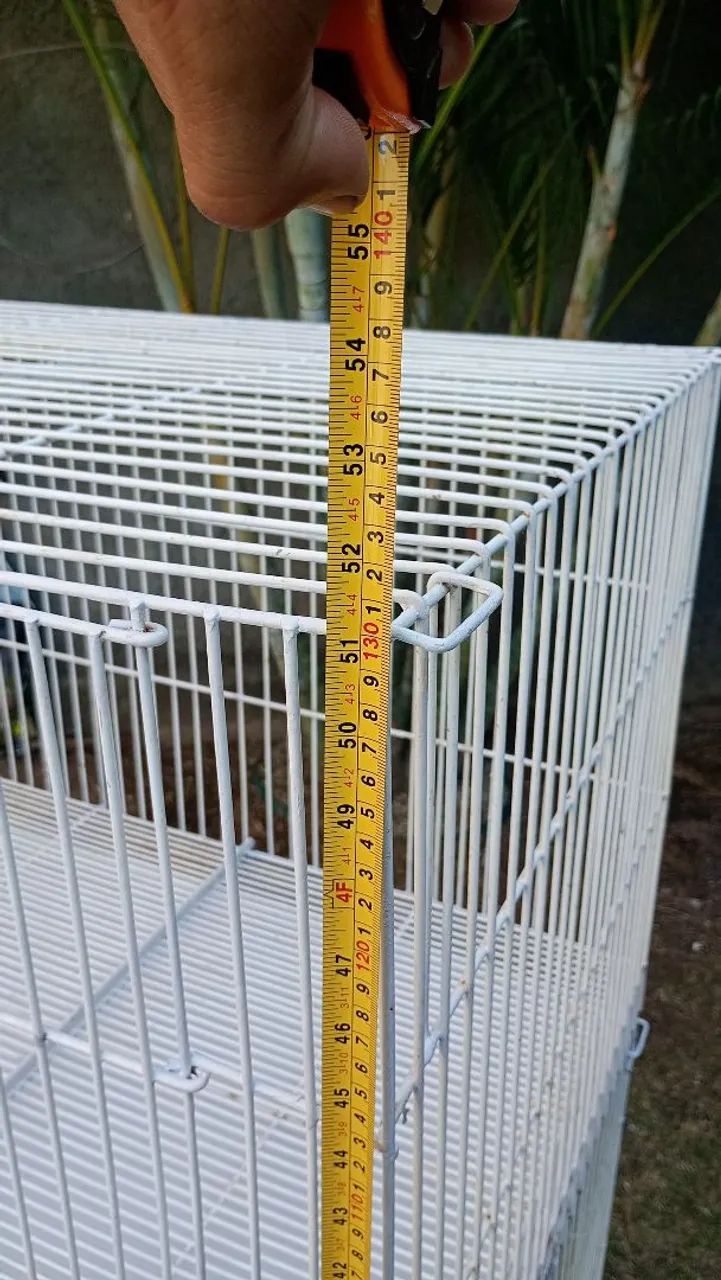 Viveiro banho e tosa - Foto 6