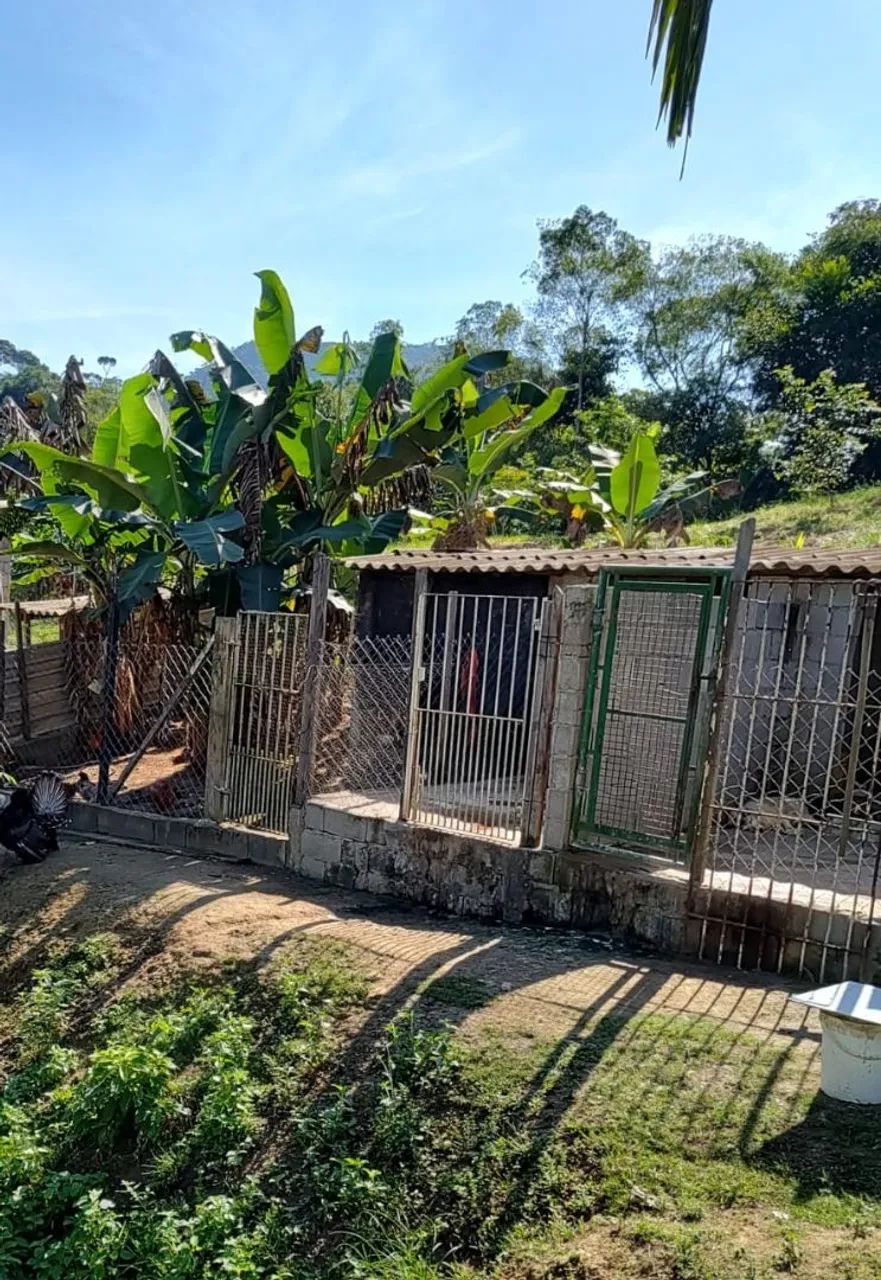 SÍTIO À VENDA EM MIRACATU/SP - Foto 5
