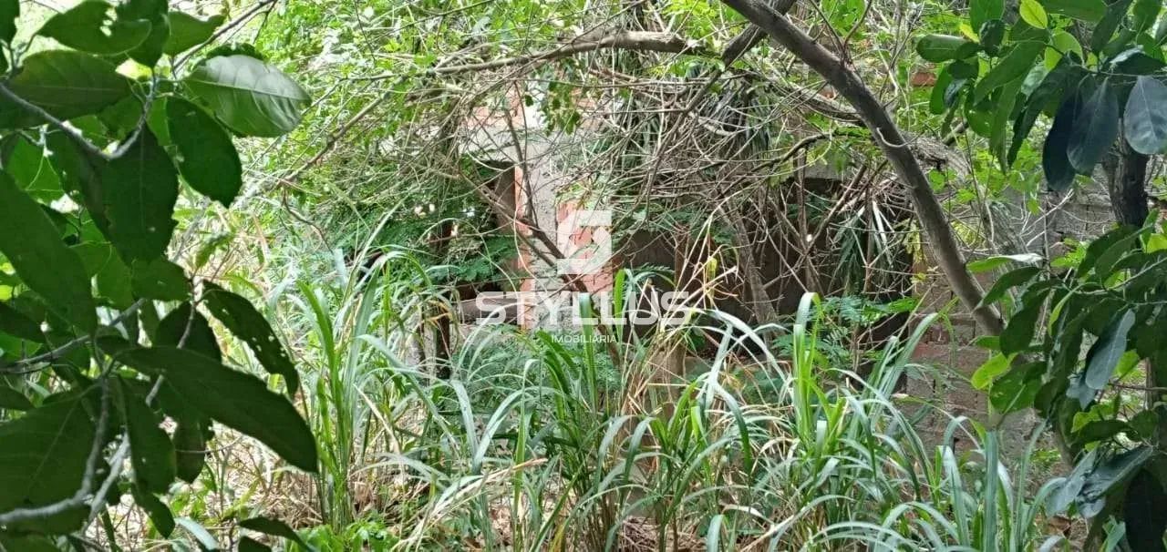 Praça Seca | Terreno - Foto 8