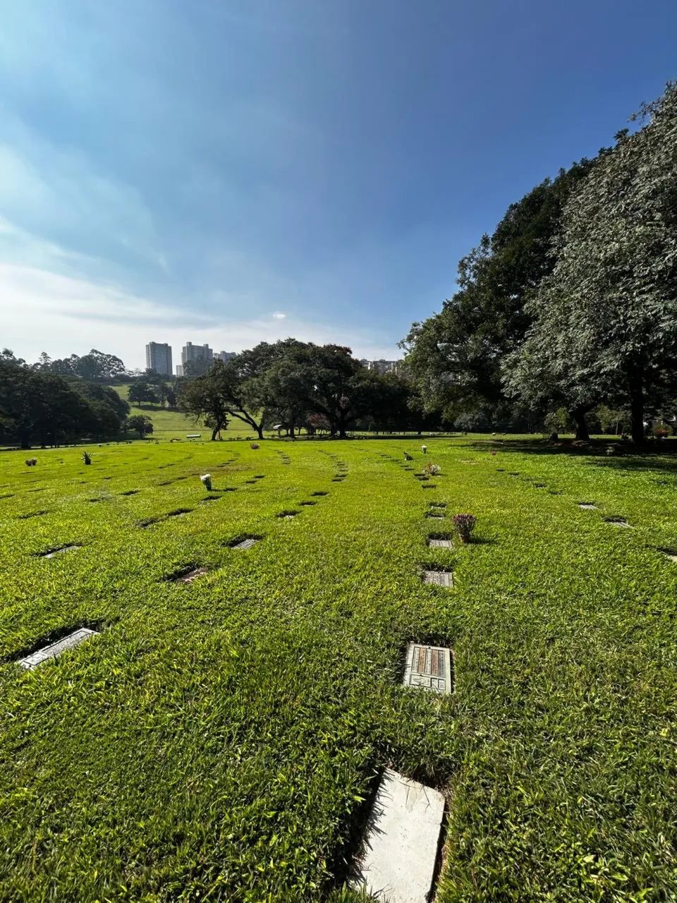 JAZIGO À VENDA - CEMITÉRIO PARQUE MORUMBY - Foto 3