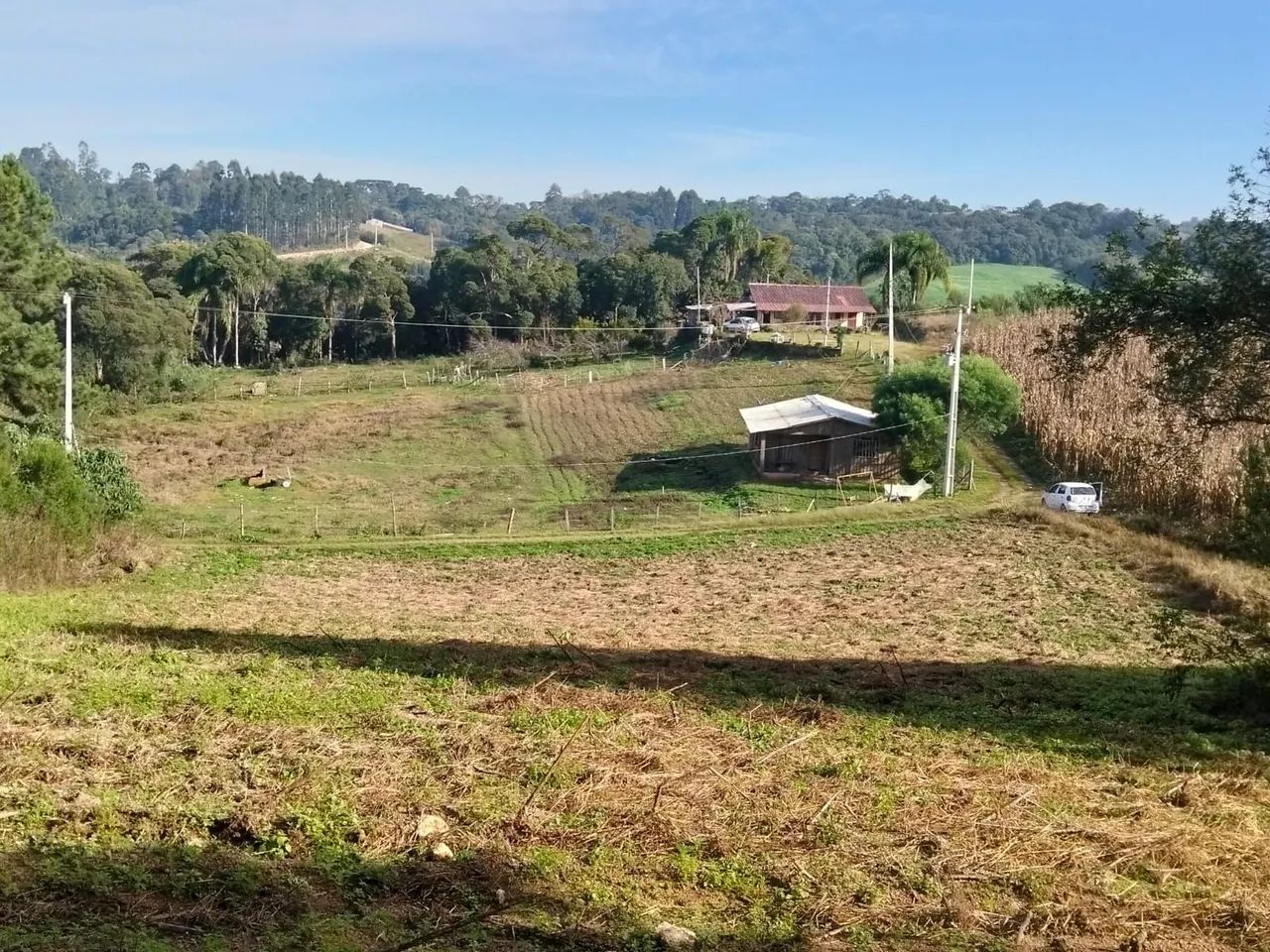 Vendo chácara em Mandirituba  - Foto 5