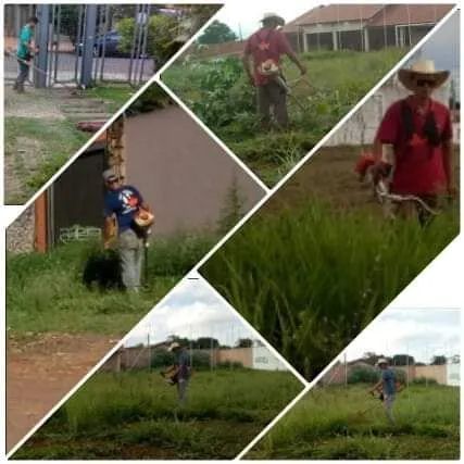 Jardinagem e manutenção - Foto 2