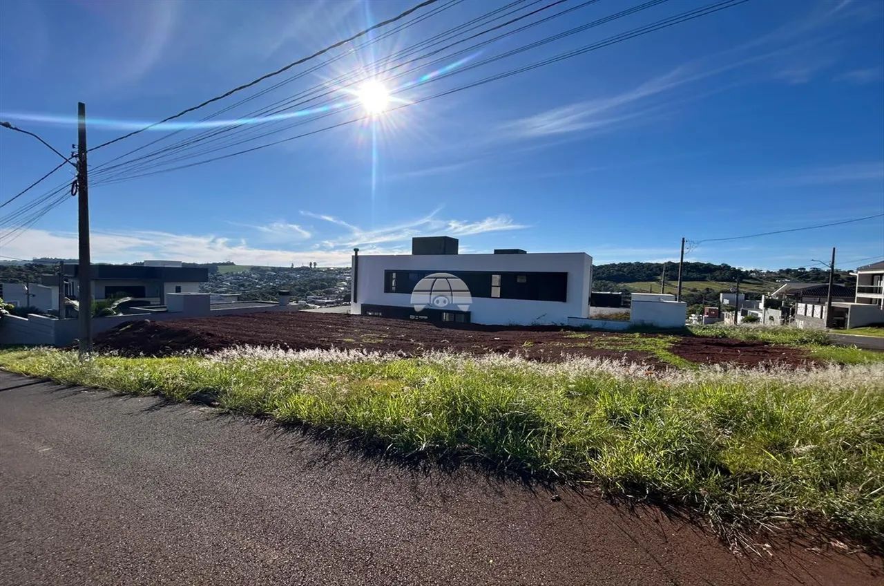 Vendas Terreno Pato Branco PR - Foto 4