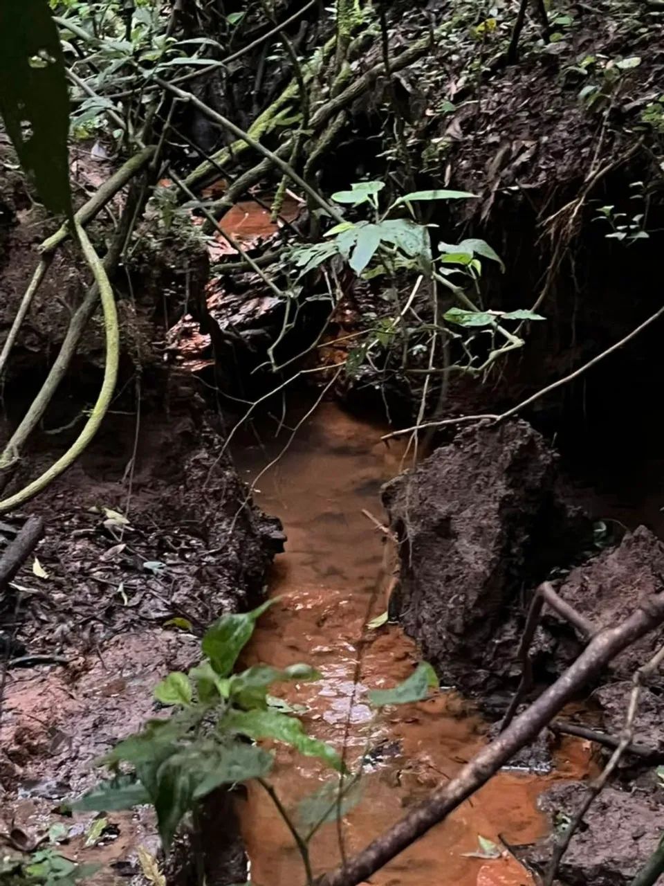 Ótimo lugar para chácara e sítio em quitandinha 