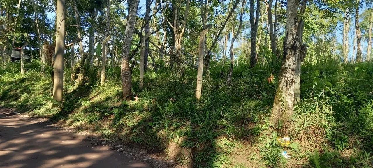 Terreno em Embura - São Paulo
