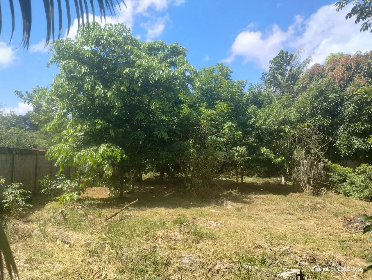Excelente lote para chácara 20x40 todo murado e com fruteiras - Foto 2