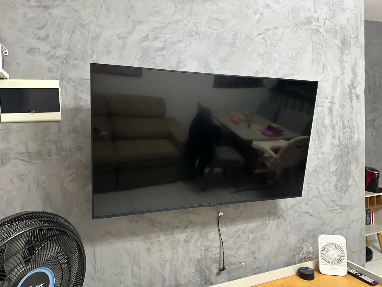 Tv LG 50 polegadas (leia a descrição)