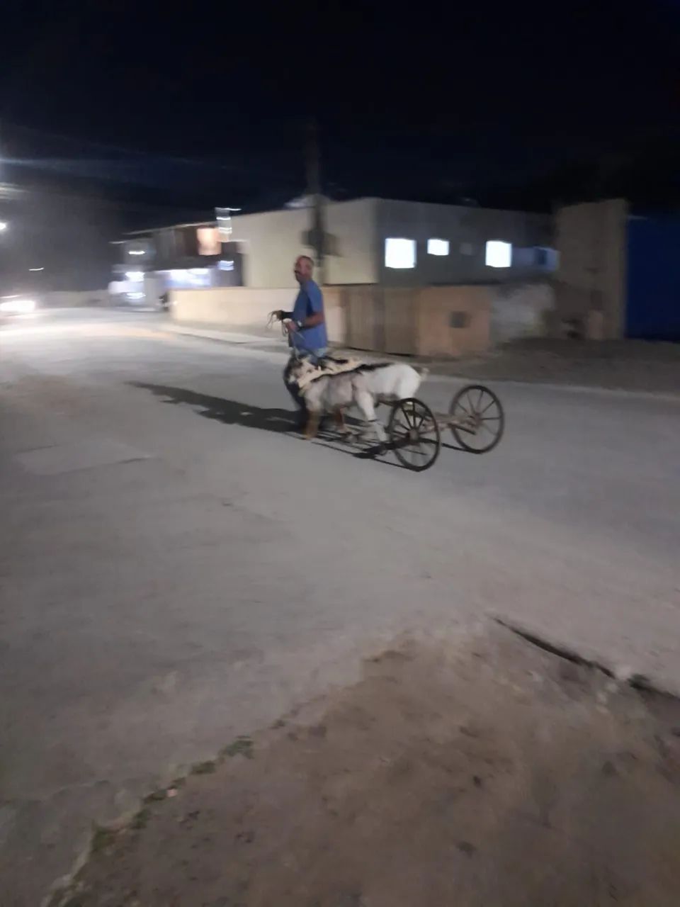 Junta de cabrito  - Foto 2