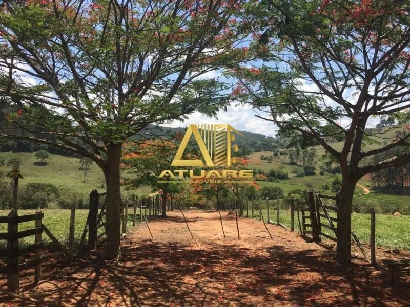 Excelente sítio em Silvianópolis, Minas Gerais. - Foto 4