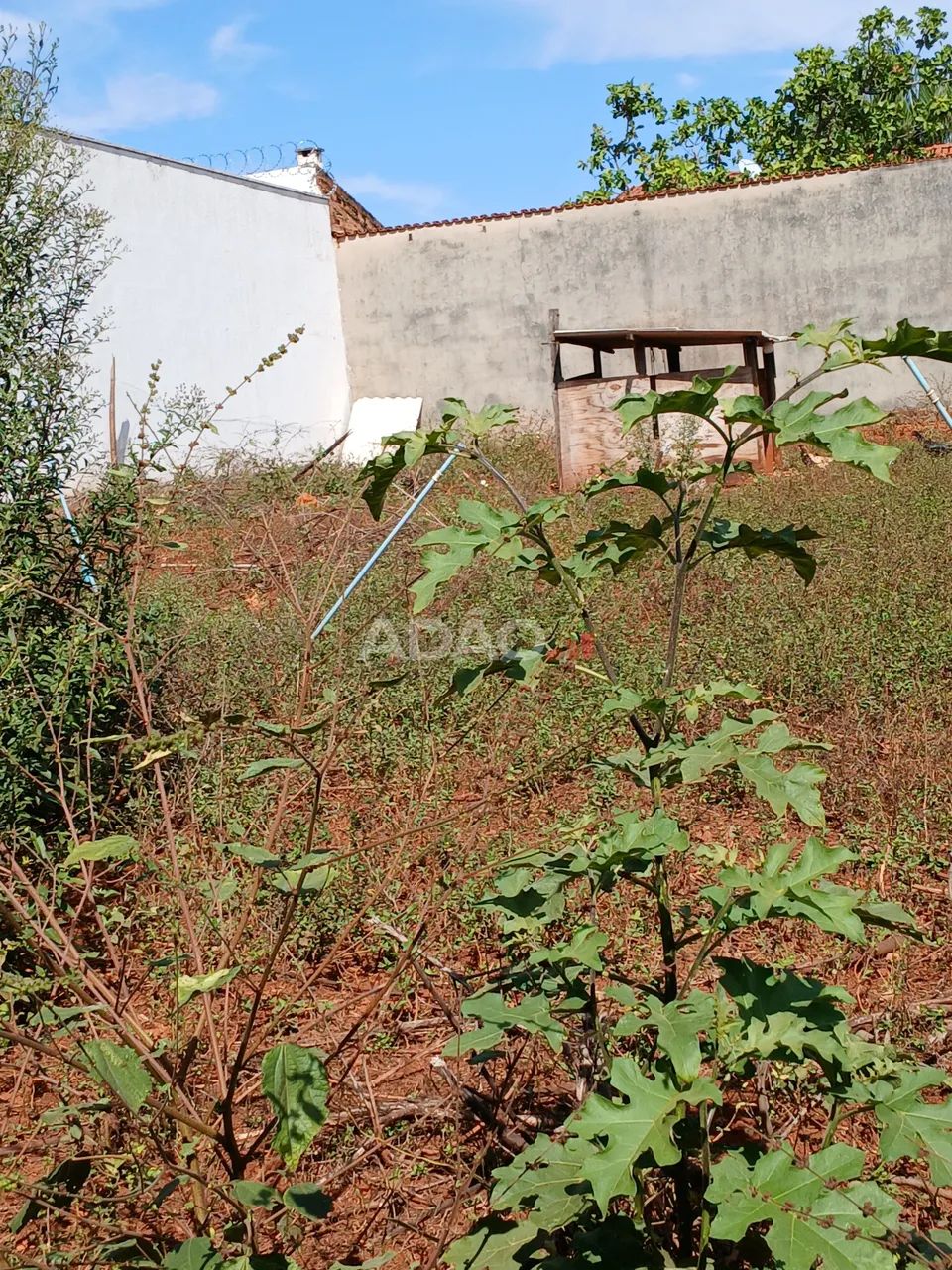 Lote Recanto - Foto 4