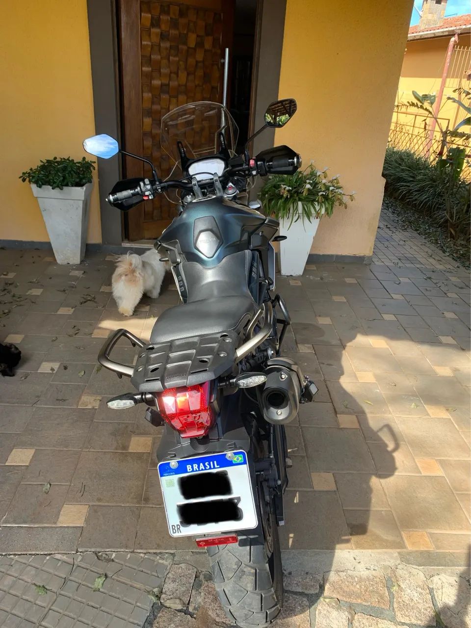 Tiger 800 - Foto 4