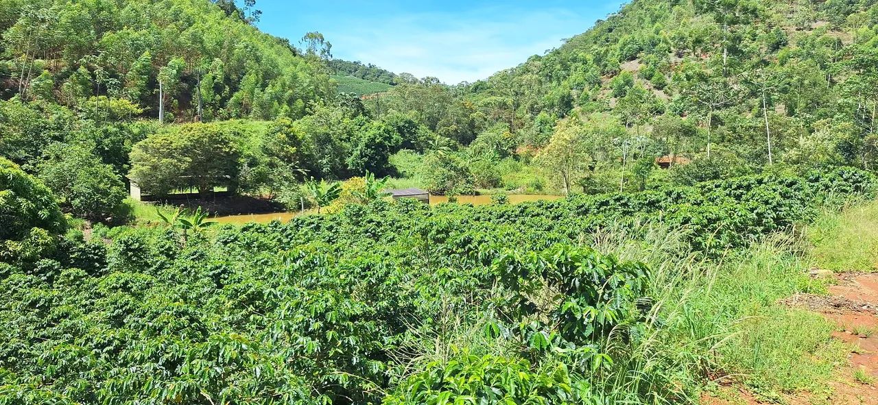 OPORTUNIDADE EM SANTA TERESA - Foto 4