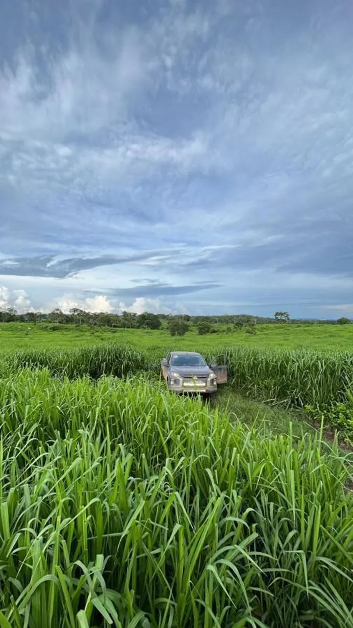 Fazenda para Venda em Miracema do Tocantins