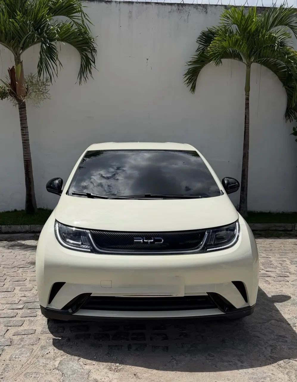 BYD Dolphin EV (Elétrico) 2027 - Foto 2