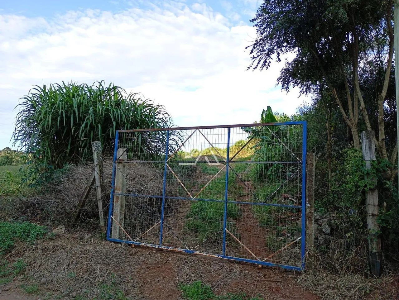 CHACARA EM ERNESTINA - Foto 4