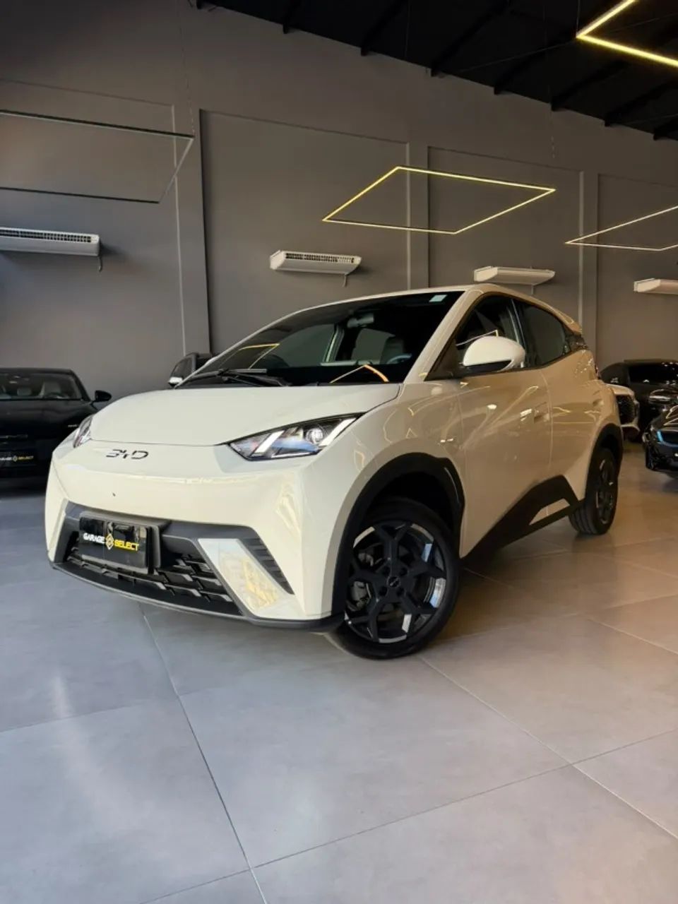 BYD Dolphin Dolphin Mini (Elétrico) 2026