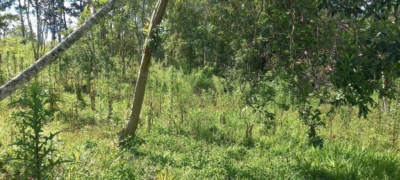 Terreno em Embura - São Paulo - Foto 3