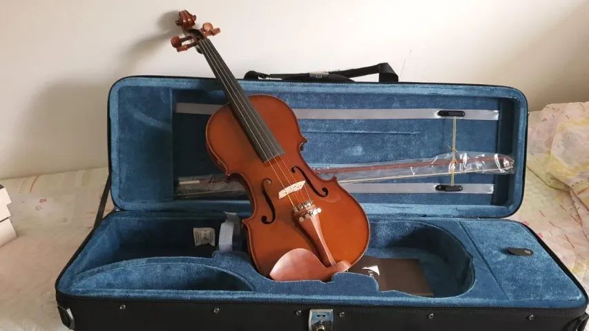 Violino Eagle _4/4 ve441 - Foto 3