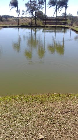 Ponte Alta Olhos D'água próximo ao Gama - Foto 14