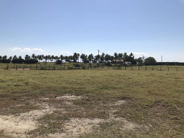 Ótima propriedade em Boa Vista com 55 alqueires - Foto 18