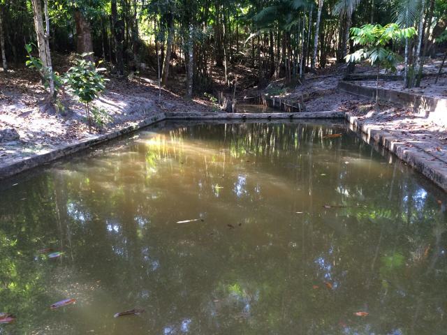 Axixá - Maranhão: Excelente Fazenda p/ Vender - Foto 6